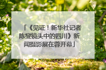《见证！新华社记者陈燮镜头中的四川》新闻摄影展在蓉开幕