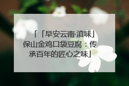 「早安云南·滇味」保山金鸡口袋豆腐：传承百年的匠心之味