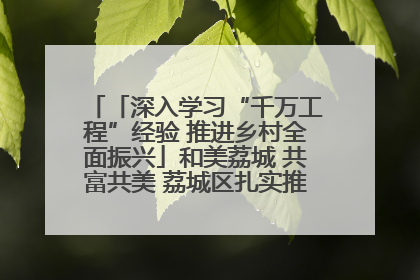 「深入学习“千万工程”经验 推进乡村全面振兴」和美荔城 共富共美 荔城区扎实推进乡村振兴工作