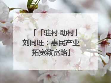 「驻村·助村」刘同旺：惠民产业拓宽致富路