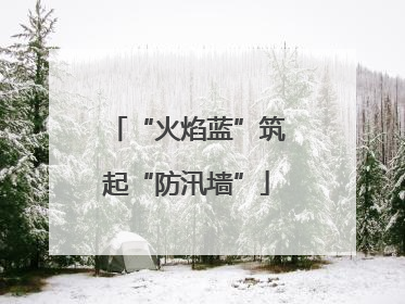 “火焰蓝”筑起“防汛墙”