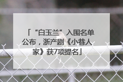“白玉兰”入围名单公布，浙产剧《小巷人家》获7项提名
