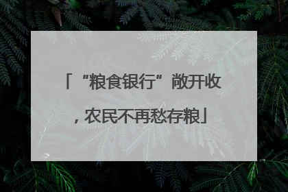 “粮食银行”敞开收，农民不再愁存粮