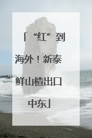 “红”到海外！新泰鲜山楂出口中东