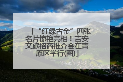 “红绿古金”四张名片惊艳亮相！吉安文旅招商推介会在青原区举行(图)