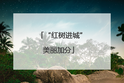 “红树进城” 美丽加分