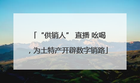 “供销人” 直播 吆喝，为土特产开辟数字销路