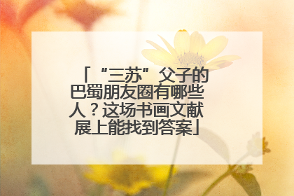 “三苏”父子的巴蜀朋友圈有哪些人？这场书画文献展上能找到答案