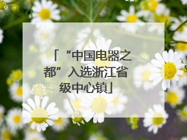 “中国电器之都”入选浙江省级中心镇