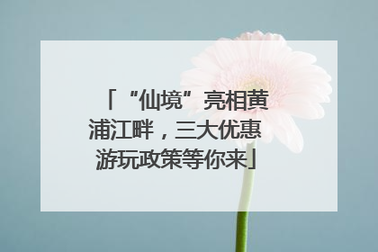 “仙境”亮相黄浦江畔，三大优惠游玩政策等你来