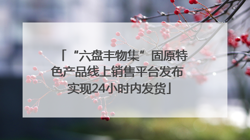 “六盘丰物集”固原特色产品线上销售平台发布 实现24小时内发货
