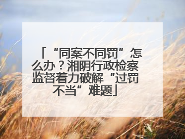 “同案不同罚”怎么办？湘阴行政检察监督着力破解“过罚不当”难题