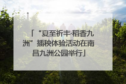 “夏至祈丰·稻香九洲”插秧体验活动在南昌九洲公园举行