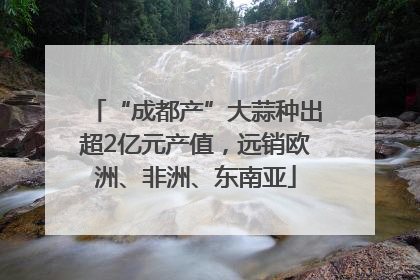 “成都产”大蒜种出超2亿元产值，远销欧洲、非洲、东南亚