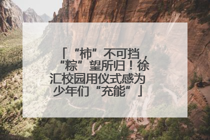 “柿”不可挡，“粽”望所归！徐汇校园用仪式感为少年们“充能”
