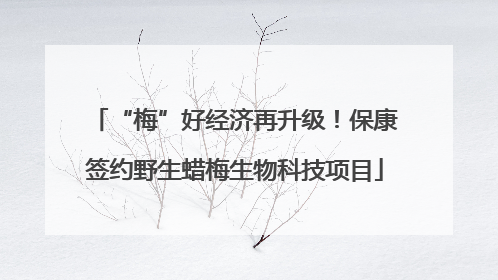 “梅”好经济再升级！保康签约野生蜡梅生物科技项目