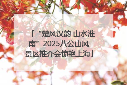 “楚风汉韵 山水淮南”2025八公山风景区推介会惊艳上海