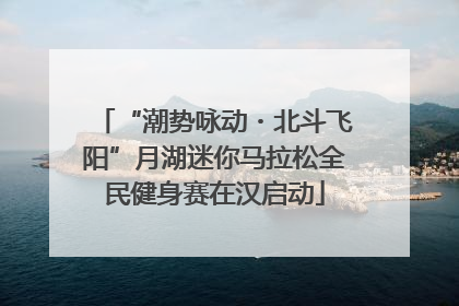 “潮势咏动・北斗飞阳”月湖迷你马拉松全民健身赛在汉启动
