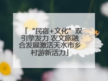 “民宿+文化”双引擎发力 农文旅融合发展激活天水市乡村游新活力