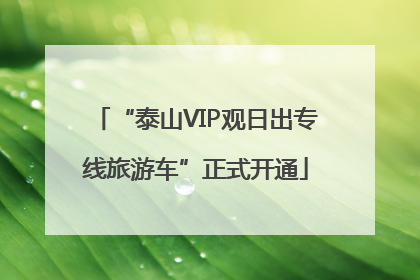 “泰山VIP观日出专线旅游车”正式开通