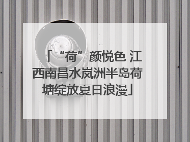 “荷”颜悦色 江西南昌水岚洲半岛荷塘绽放夏日浪漫