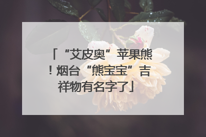 “艾皮奥”苹果熊！烟台“熊宝宝”吉祥物有名字了