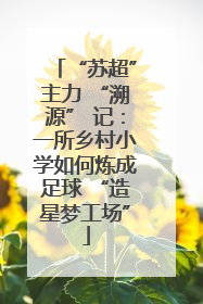 “苏超”主力 “溯源” 记：一所乡村小学如何炼成足球 “造星梦工场”