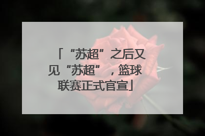 “苏超”之后又见“苏超”，篮球联赛正式官宣