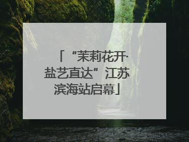“茉莉花开·盐艺直达”江苏滨海站启幕