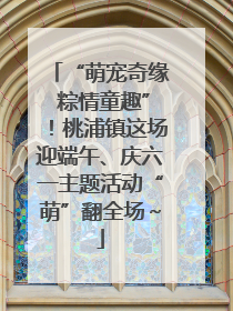“萌宠奇缘 粽情童趣”！桃浦镇这场迎端午、庆六一主题活动“萌”翻全场～