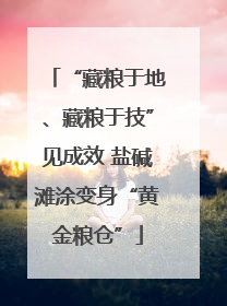 “藏粮于地、藏粮于技”见成效 盐碱滩涂变身“黄金粮仓”