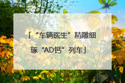 “车辆医生”精雕细琢“AD钙”列车