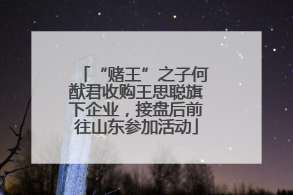 “赌王”之子何猷君收购王思聪旗下企业，接盘后前往山东参加活动