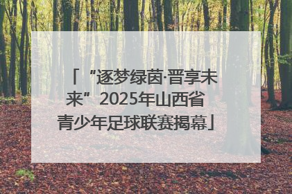 “逐梦绿茵·晋享未来”2025年山西省青少年足球联赛揭幕