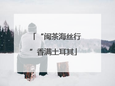“闽茶海丝行”香满土耳其
