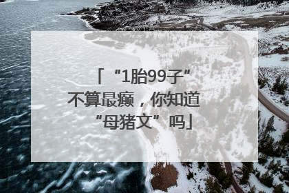 “1胎99子”不算最癫，你知道“母猪文”吗