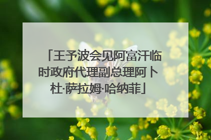 王予波会见阿富汗临时政府代理副总理阿卜杜·萨拉姆·哈纳菲