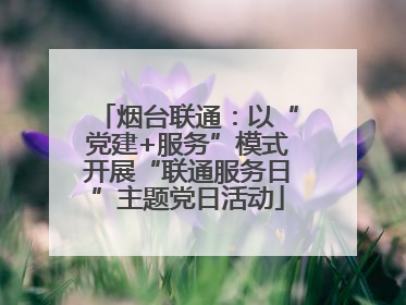 烟台联通：以“党建+服务”模式开展“联通服务日”主题党日活动