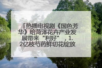 热播电视剧《国色芳华》给菏泽花卉产业发展带来“利好”，1.2亿枝芍药鲜切花绽放“国色芳华”