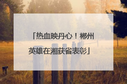 热血映丹心！郴州英雄在湘获省表彰