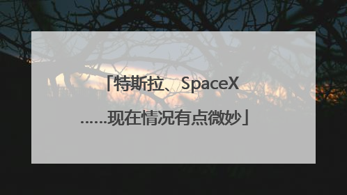 特斯拉、SpaceX……现在情况有点微妙