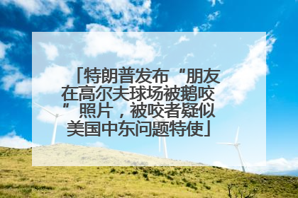 特朗普发布“朋友在高尔夫球场被鹅咬”照片，被咬者疑似美国中东问题特使