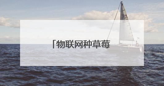 物联网种草莓 大数据卖黄瓜 临沂“四雁孵化”工程链动乡村共富