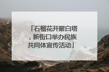 石榴花开耀白塔，新街口举办民族共同体宣传活动