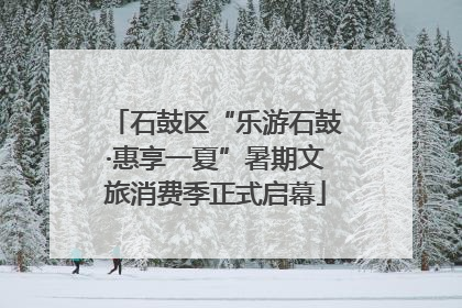 石鼓区“乐游石鼓·惠享一夏”暑期文旅消费季正式启幕