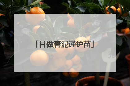 甘做春泥谨护苗