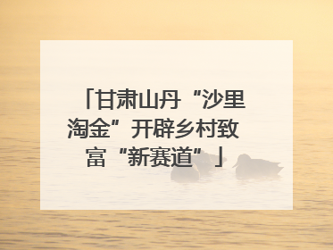 甘肃山丹“沙里淘金”开辟乡村致富“新赛道”