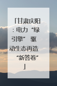 甘肃庆阳：电力“绿引擎” 驱动生态再造“新答卷”