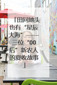 田间地头也有“星辰大海”——三位“00后”新农人的夏收故事