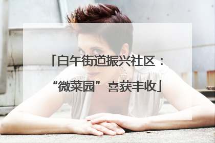 白午街道振兴社区：“微菜园”喜获丰收